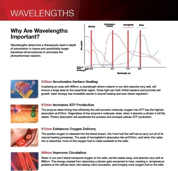 Information on Wavelengths